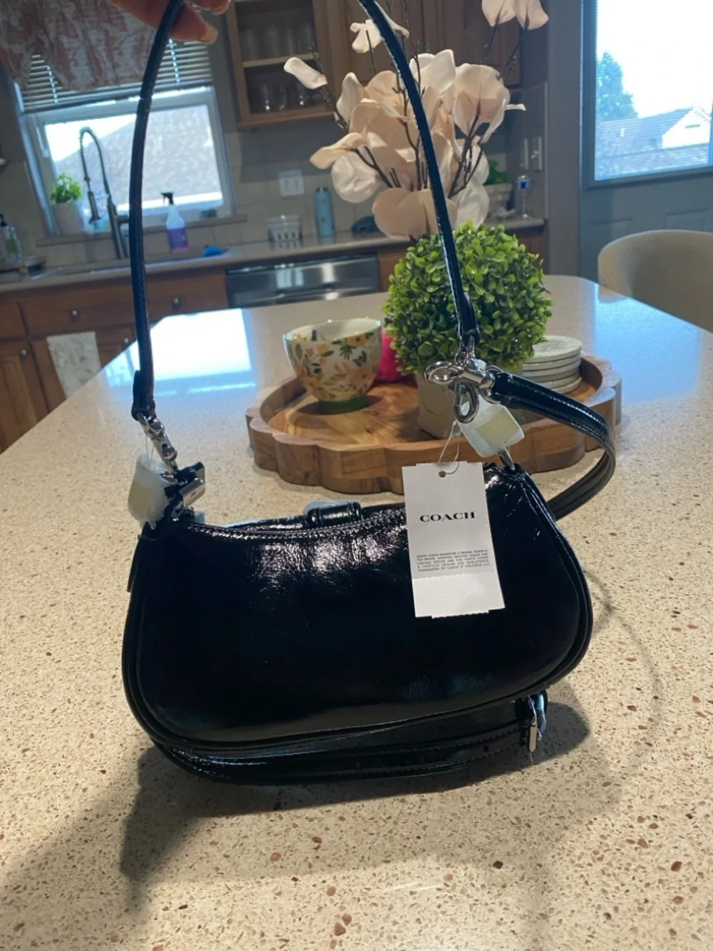NWT COACH ASHTON MINI